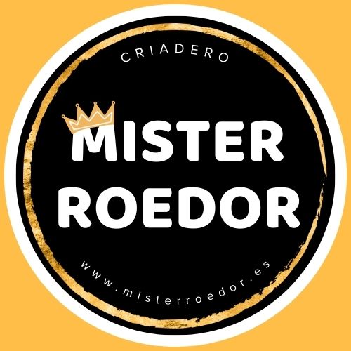 MISTER ROEDOR
